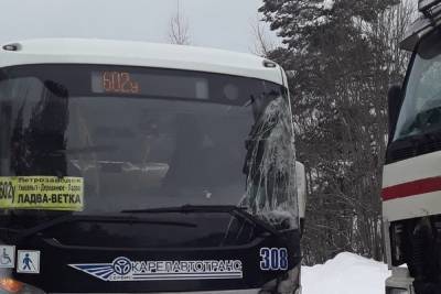 Фура и автобус столкнулись на трассе в Карелии