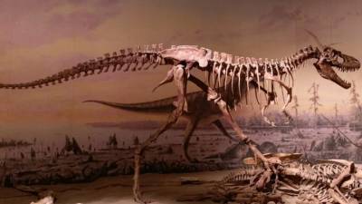 Тирания подростков: как детёныши хищных динозавров меняли мир под себя