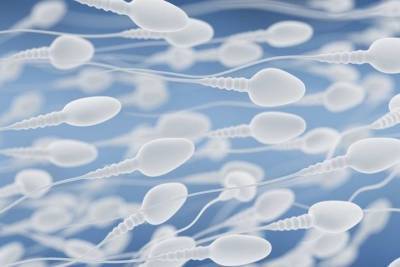 Репродуктолог предупредил о мировом кризисе фертильности