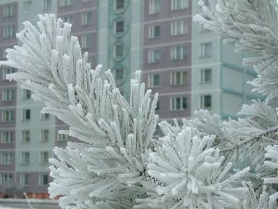 На Южном Урале сохраняются аномальные морозы