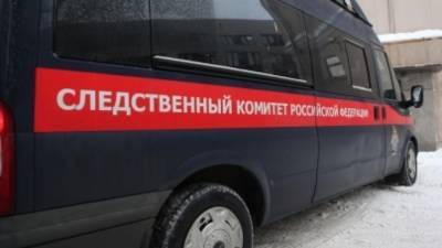 Жителя Ленинградской области задержали за расчленение матери