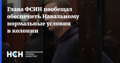 Глава ФСИН пообещал обеспечить Навальному нормальные условия в колонии