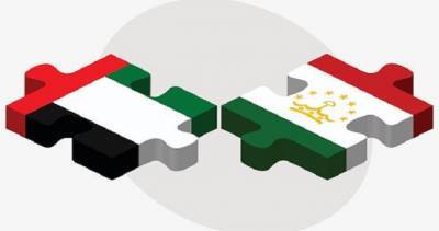 Группа дружбы парламентов Таджикистана и ОАЭ провела виртуальные консультации