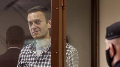 Amnesty International объяснила свою позицию по статусу Навального