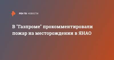 Андрей Андреев - В "Газпроме" прокомментировали пожар на месторождении в ЯНАО - ren.tv - окр. Янао