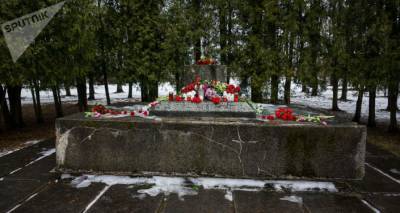 Украденная с монумента советским воинам в Екабпилсе пушка еще не найдена