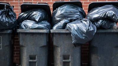 ФАС прокомментировала инициативу Минприроды о повышении тарифов на вывоз мусора