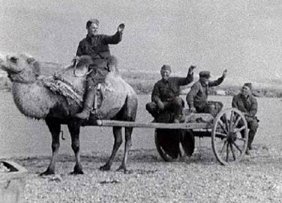 Как красноармейцы воевали на верблюдах против Гитлера