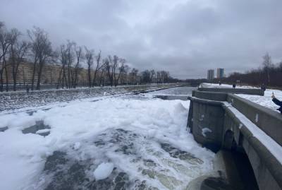В ЗакСе заинтересовались причиной загрязнения Дудергофского канала