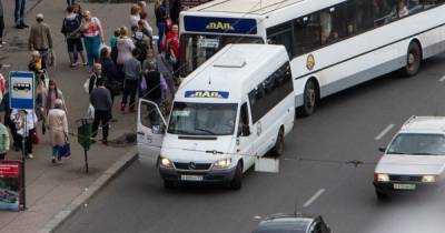Машина или автобус: чем выгоднее пользоваться в Калининграде (инфографика)