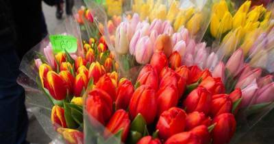 Калининградские предприниматели спрогнозировали подорожание цветов к 8 Марта
