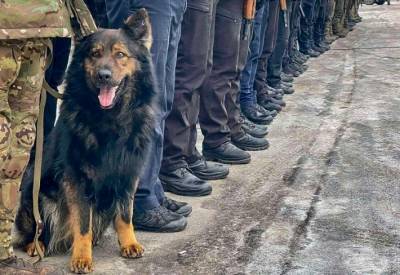 Полиция провела профилактическую отработку прифронтовых районов Луганщины