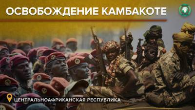 Армию ЦАР от границы с Чадом отделяет менее 100 километров