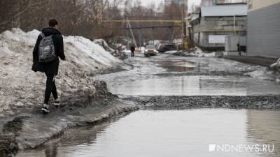 «Аквадискотека в комнате грязи»: Москва «поплыла» после резкого потепления