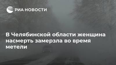 В Челябинской области женщина насмерть замерзла во время метели