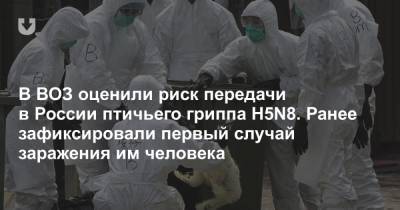В ВОЗ оценили риск передачи в России птичьего гриппа H5N8. Ранее зафиксировали первый случай заражения им человека