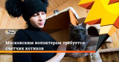 Московским волонтерам требуется счетчик котиков