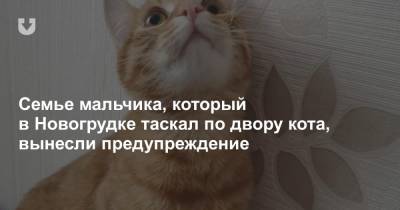 Семье мальчика, который в Новогрудке таскал по двору кота, вынесли предупреждение