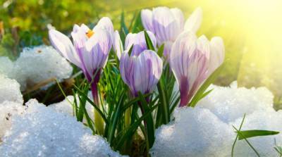 Синоптики рассказали, каким будет первый день весны