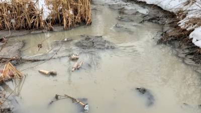 «Нечем дышать»: ФАН узнал, почему в Тульской области нечистоты сбрасывают в водоемы