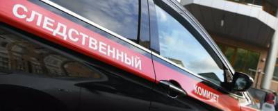Вице-премьера Башкирии Беляева поместили под домашний арест