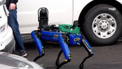 В США полиция тестирует робота-собаку для осмотра места преступления, – видео