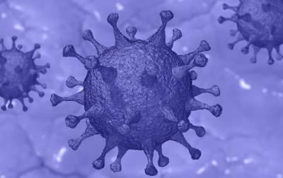 Ученые рассчитали вероятность распространения коронавируса внутри семьи