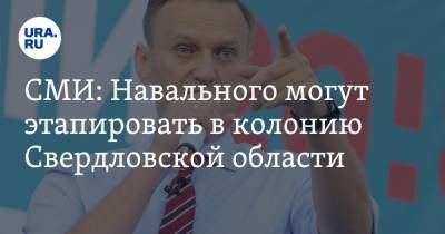 СМИ: Навального могут этапировать в колонию Свердловской области