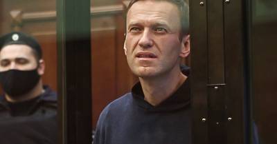 Amnesty International объяснила отказ признать Навального узником совести
