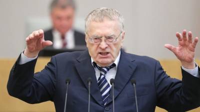 «Вопиющий шовинизм»: Жириновский обвинил Украину в создании «гитлерюгенда»