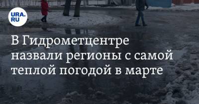 В Гидрометцентре назвали регионы с самой теплой погодой в марте