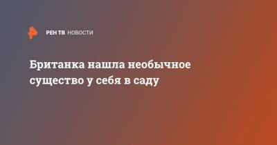 Британка нашла необычное существо у себя в саду