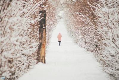 Синоптики спрогнозировали снег и ветер в Забайкалье на 27 февраля
