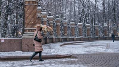 Продолжение оттепели: в Петербурге ждут дожди с мокрым снегом