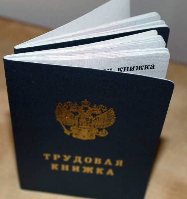 В России с 2023 года введут новые трудовые книжки