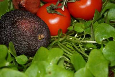 Диетолог Екатерина Бурляева рассказала, кому опасно употреблять сырые овощи