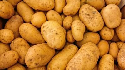 Картофель вошел в тройку наиболее подорожавших за неделю продуктов в России