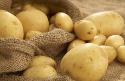 ТОП-5 областей-производителей картофеля