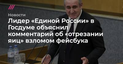 Лидер «Единой России» в Госдуме объяснил комментарий об «отрезании яиц» взломом фейсбука