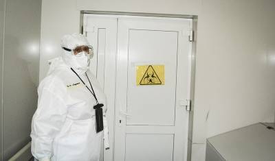 За сутки в «тюменской матрешке» коронавирус выявили у 241 человека