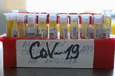 В России за сутки 11 534 человека заразились коронавирусом