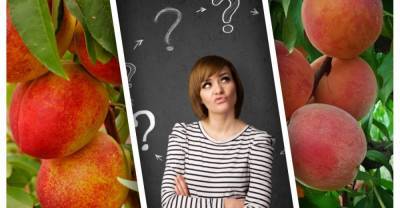 Диетолог Римма Мойсенко назвала самые опасные для здоровья фрукты