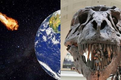 В кратере Чиксулуб найдена достоверная причина гибели динозавров