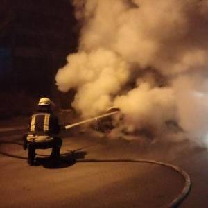 В Запорожской области горело два авто. Фото