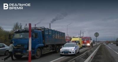 У владельца ГК «Транзитсити» изымут землю под строительство дороги «Казань — Шемордан»
