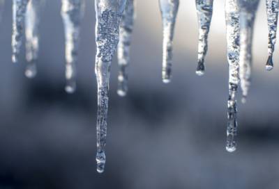 В последний день февраля в Ленобласти будет мокрый снег и до +4 градусов тепла