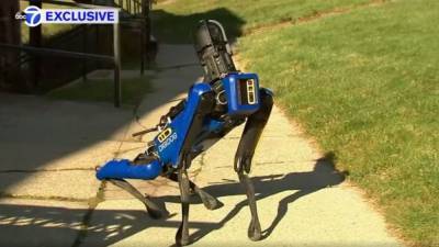 Робот-собака заступил на службу в полиции