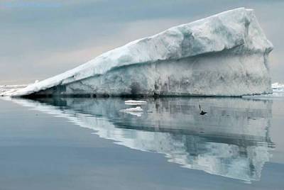 Северный ледовитый океан перестанет замерзать к сентябрю в ближайшие 35 лет