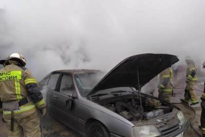 В Волгоградской области за сутки сгорели четыре машины