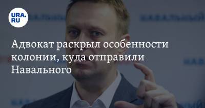 Адвокат раскрыл особенности колонии, куда отправили Навального